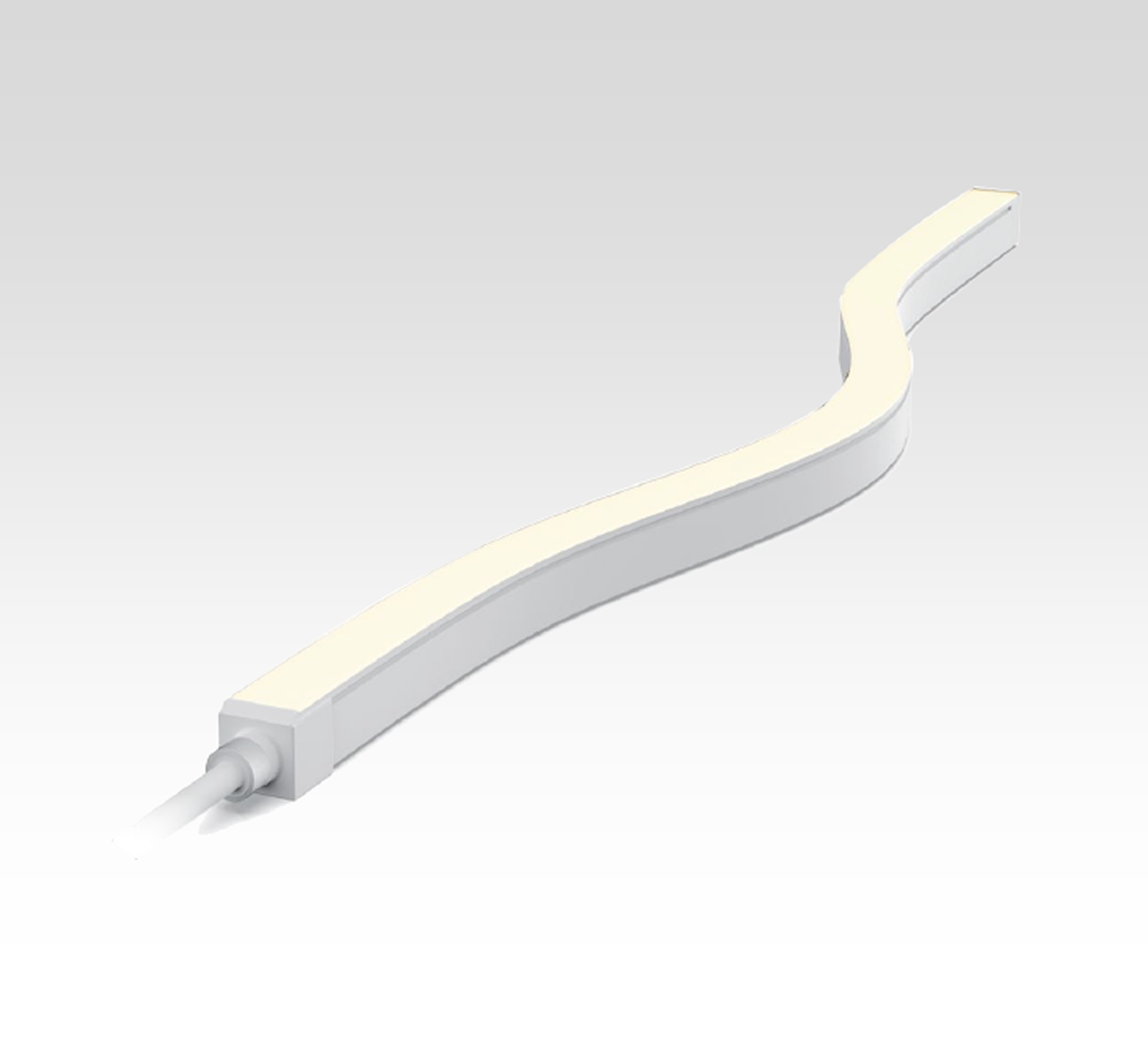 Neon Flex | Auslite Solution Product